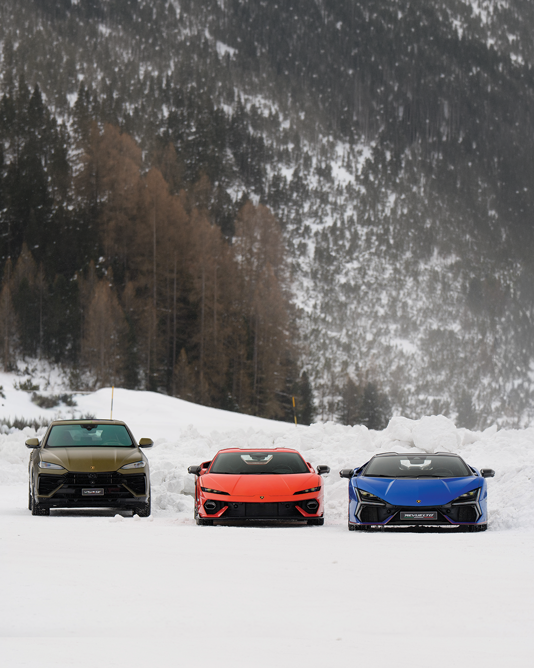 Accademia Neve